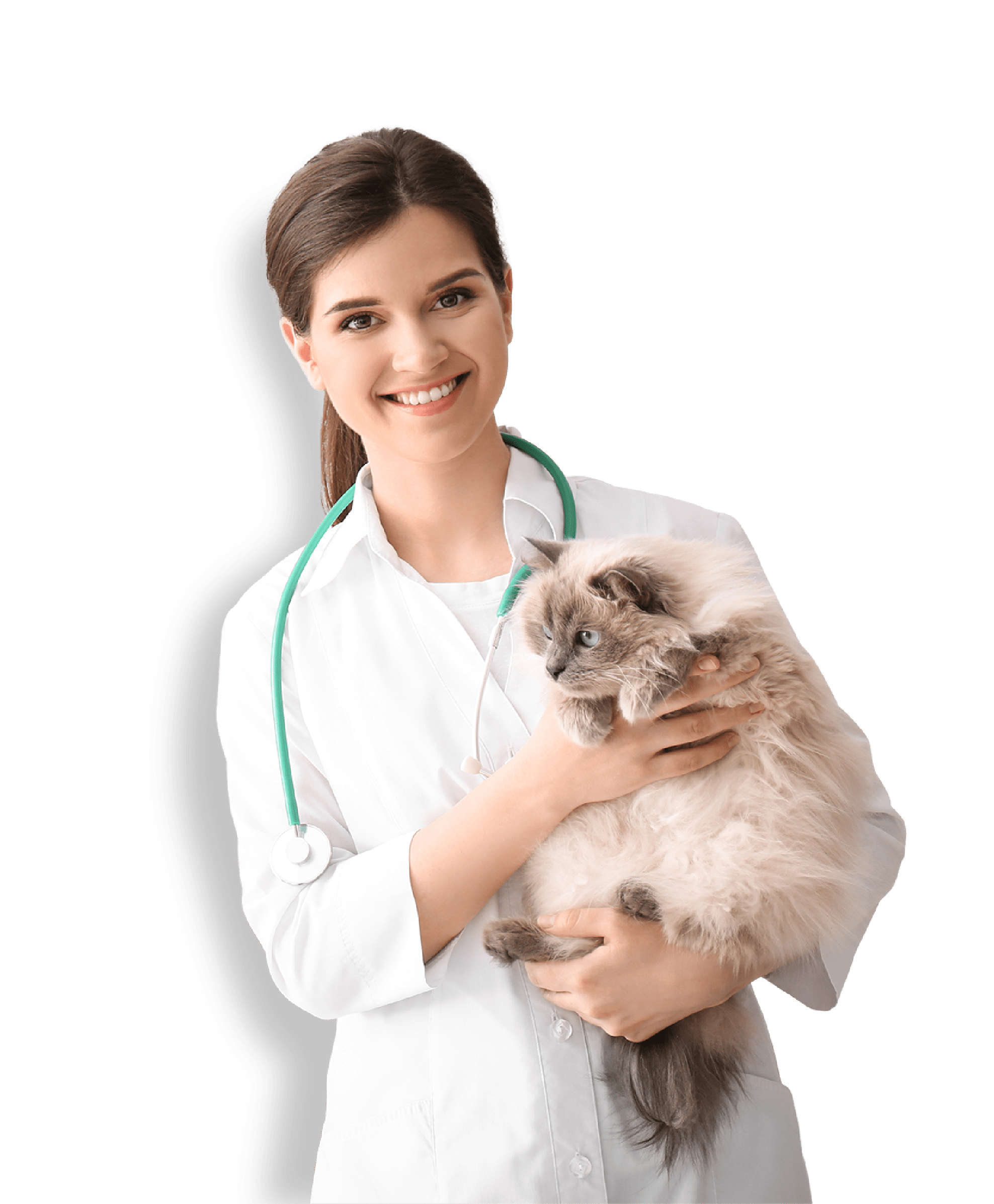 Loving Touch Animal Hospital Fredericksburg Animal Hospital