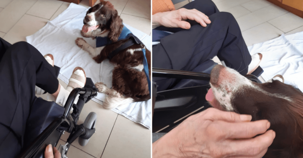 Adorable Shelter Dog Keeps Elderly People Company In Their Care Home
