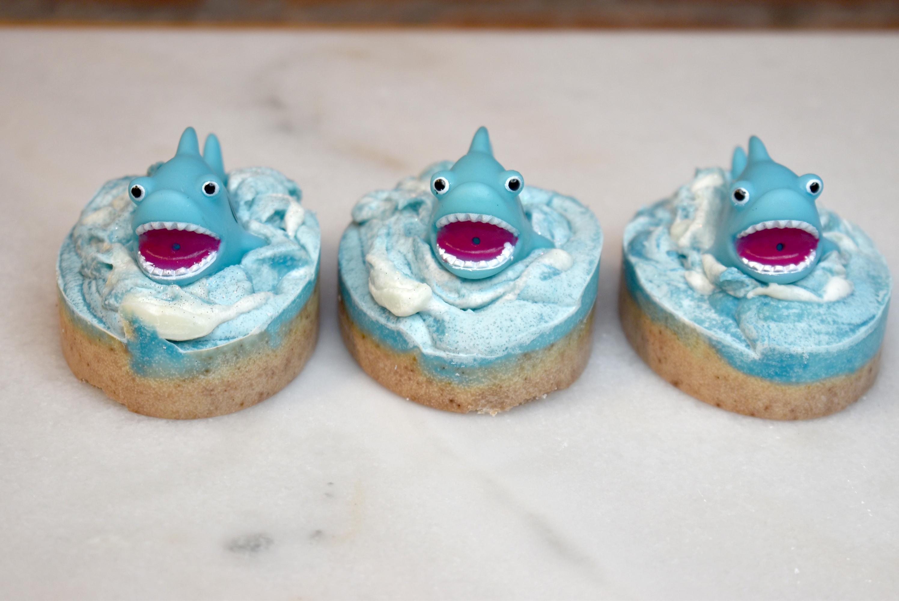 Shark Embed Salt Bars (Cold Process Soap + Sea Salt) with