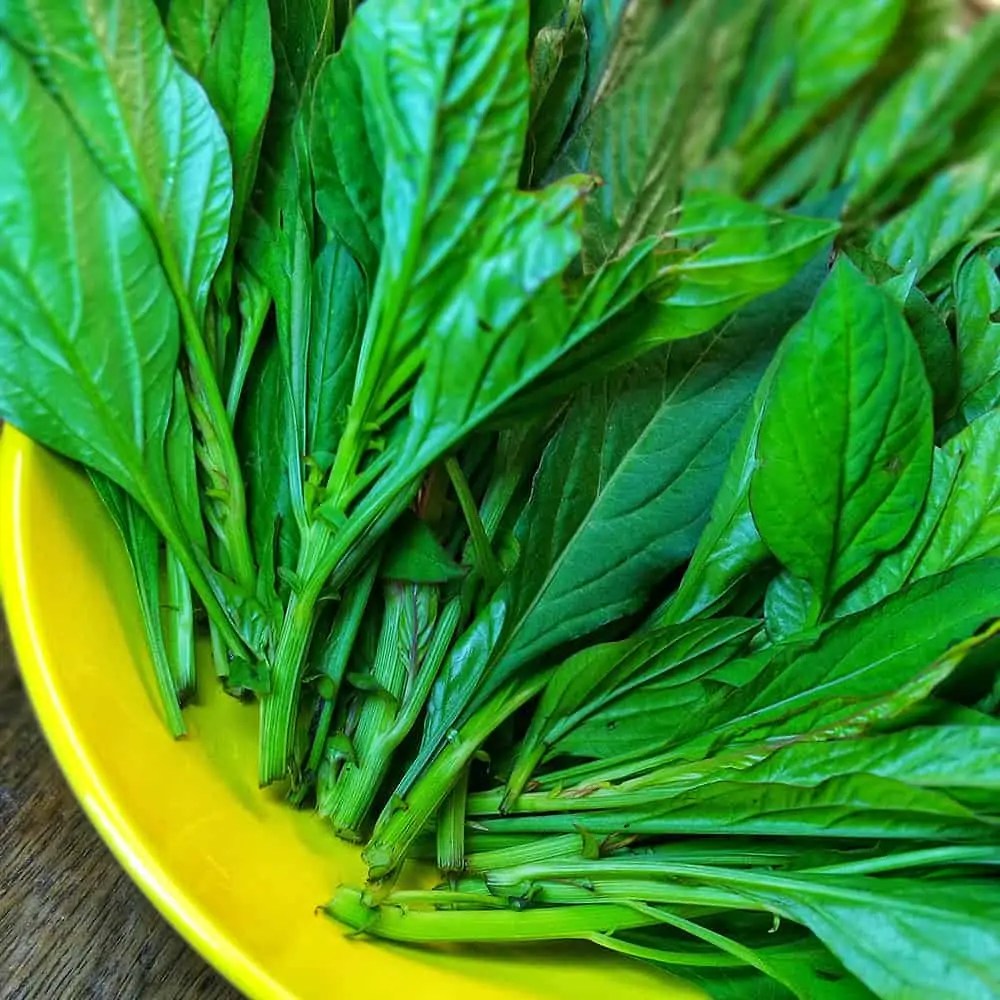 African Vegetables (Leafy Greens) Low Carb Africa