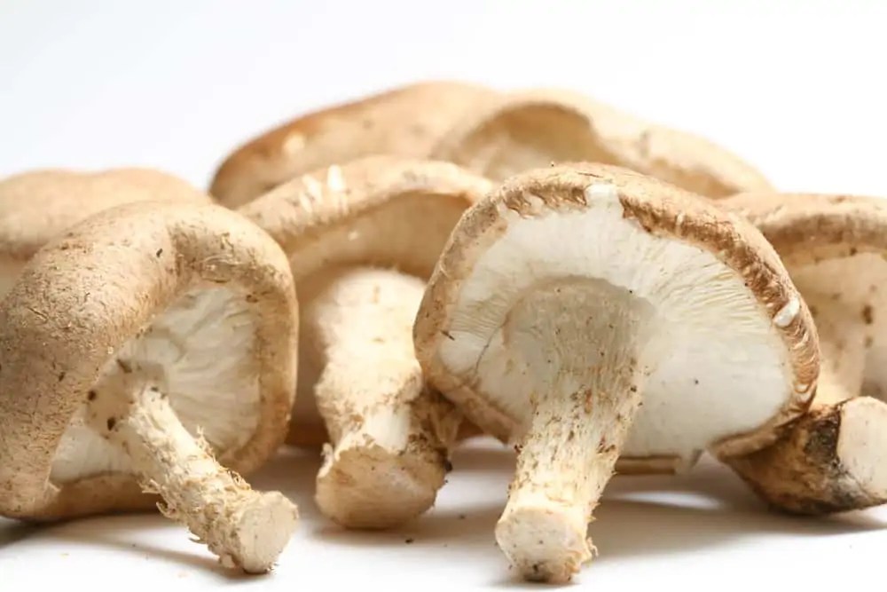 Are Mushrooms Keto? Low Carb Africa