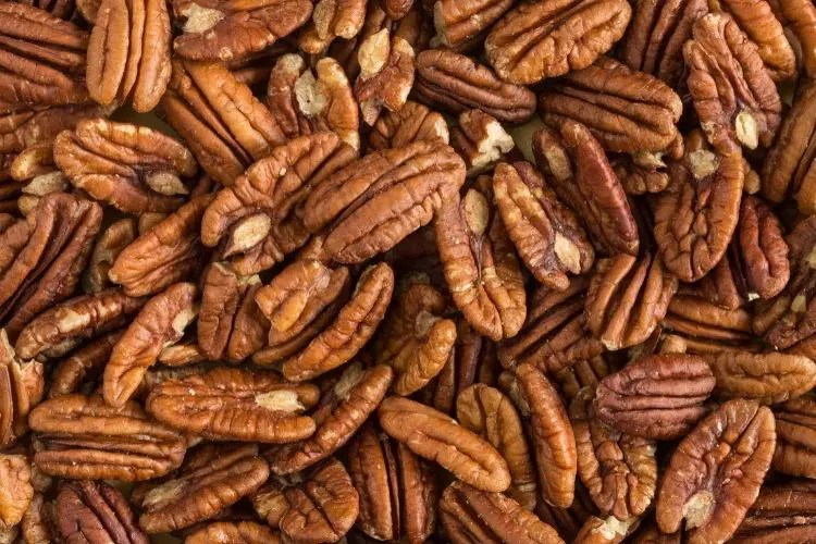 Are Pecans Keto? Carbs and Calories in Pecans