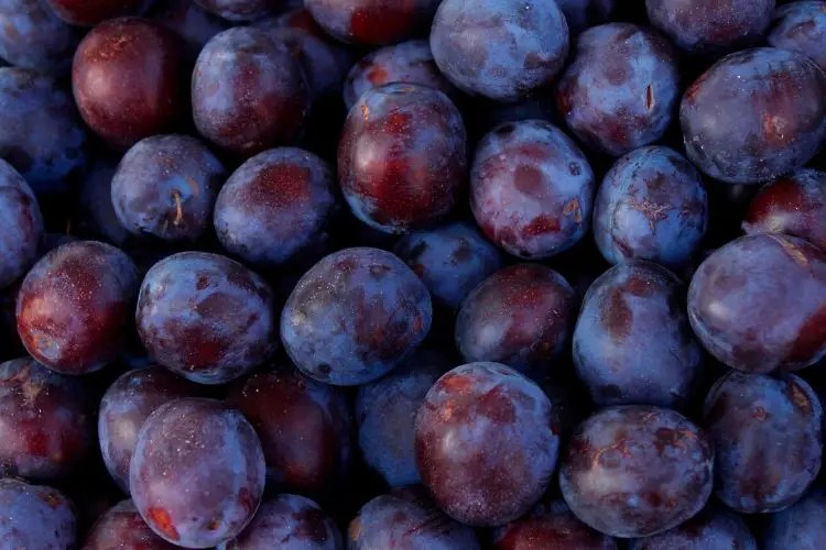 Are Plums Keto? Carbs and Calories in Plums