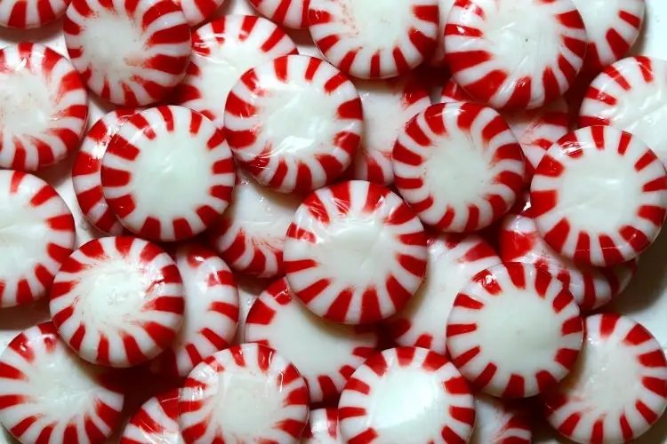 Best 4 Keto Mints to Buy (Sugar FREE Options Provided Too)