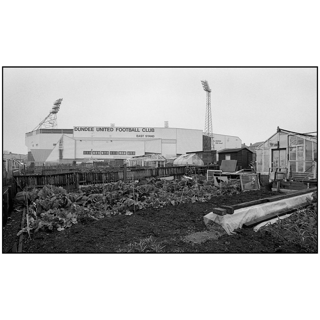 Tannadice Allotments Lower Block