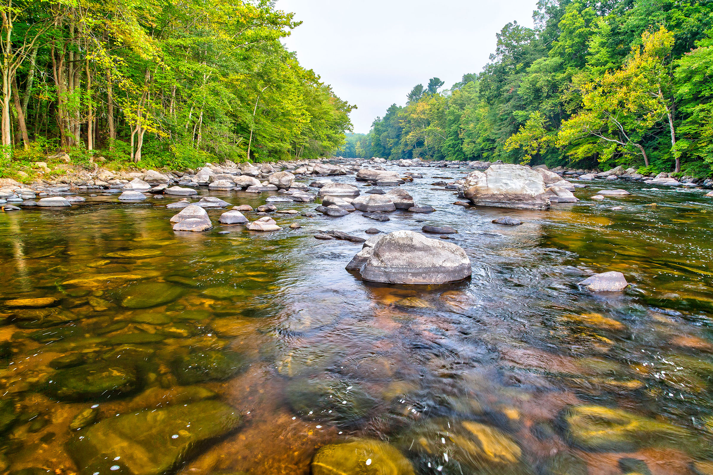 About the Lower Farmington River and Salmon Brook Wild & Scenic