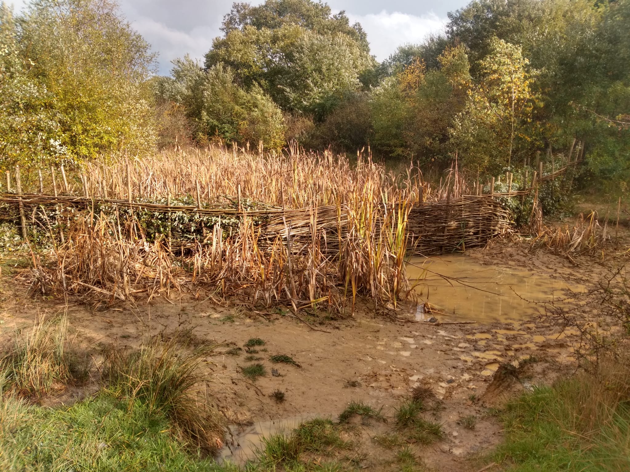 Rye Brook Ashtead Common Lower Mole Countryside Trust