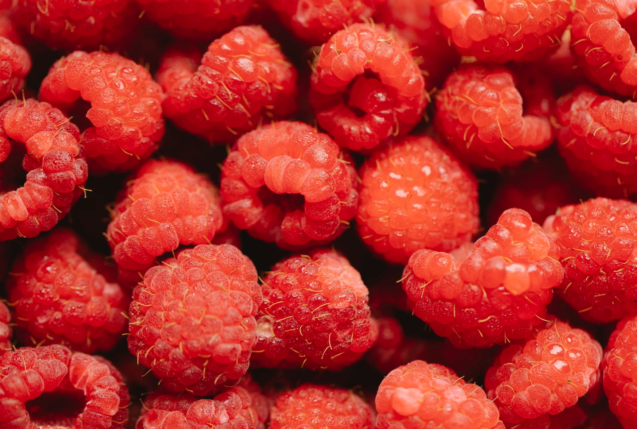 Is Raspberry Low FODMAP? (Answered!)