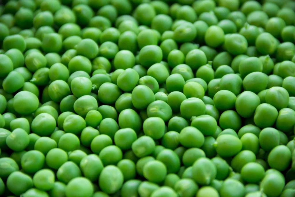 Are Peas Low FODMAP? (Answered!)