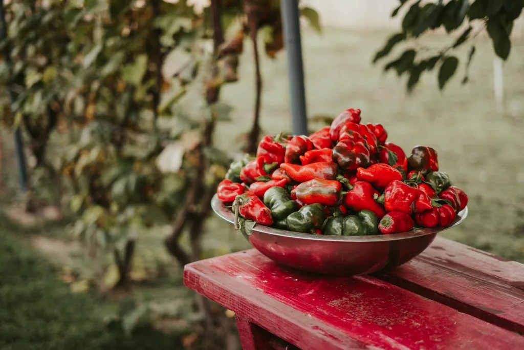 Are Peppers Low FODMAP? (Answered!)
