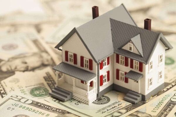 How To Buy A House With A USDA Loan Low Relief
