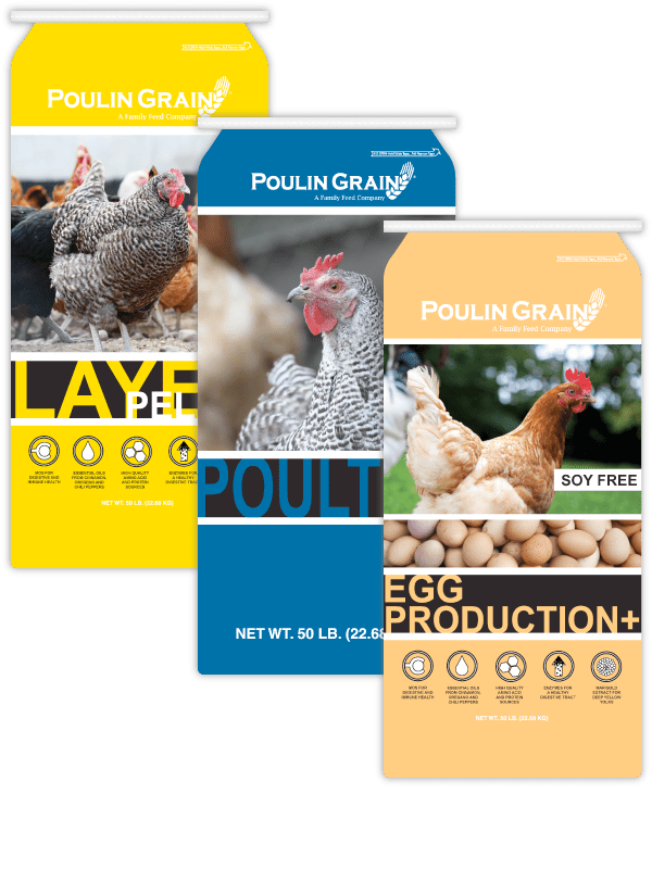 POULIN FEED Low Places Ranch