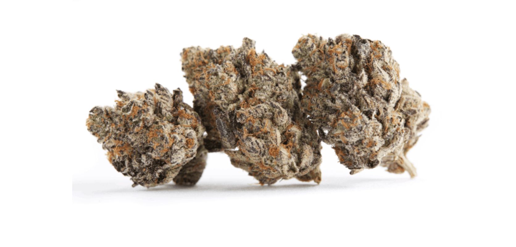 The Top 4 Products at the Cheapest Dispensary in Canada