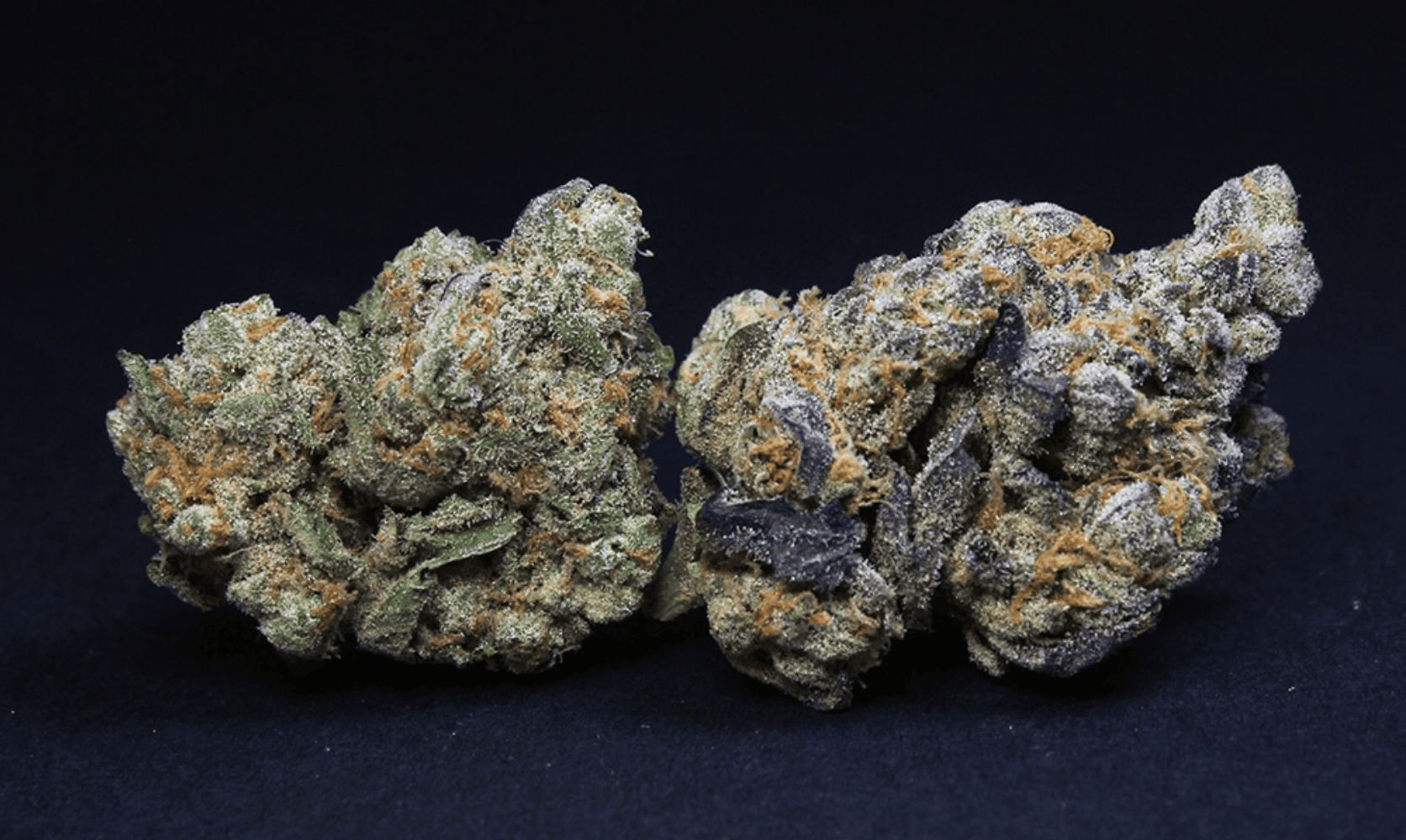 Is Top Shelf Weed Worth It Guide To Buying Premium Weed