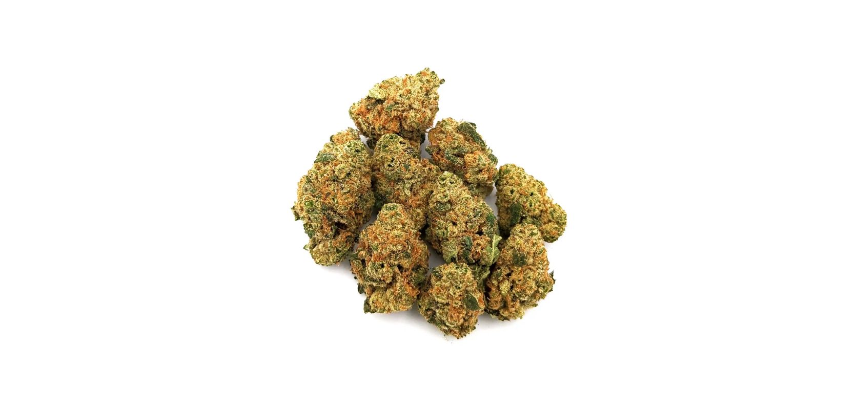 Take a Trip to Paradise With the Mango Haze Strain A Review