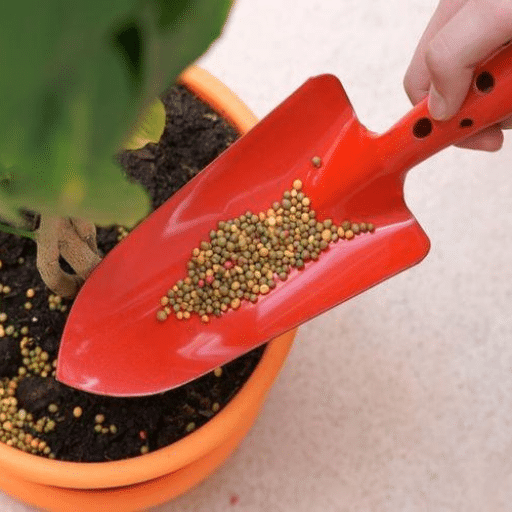 Natural Houseplant Fertilizer Best Organic Fertilizer Indoor Plants