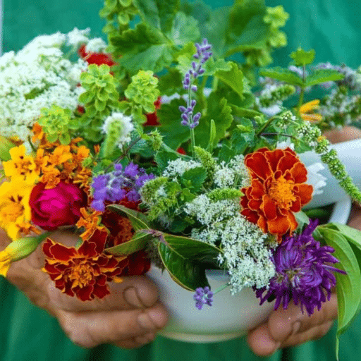 The Best Organic Bloom Fertilizer to Boost Your Flowering Plants