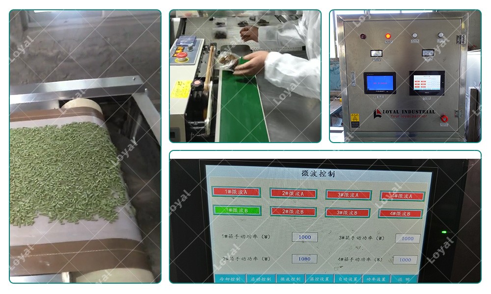 30kw Tunnel Conveyor Belt Type Automatic Industrial Tunnel Cat Litter