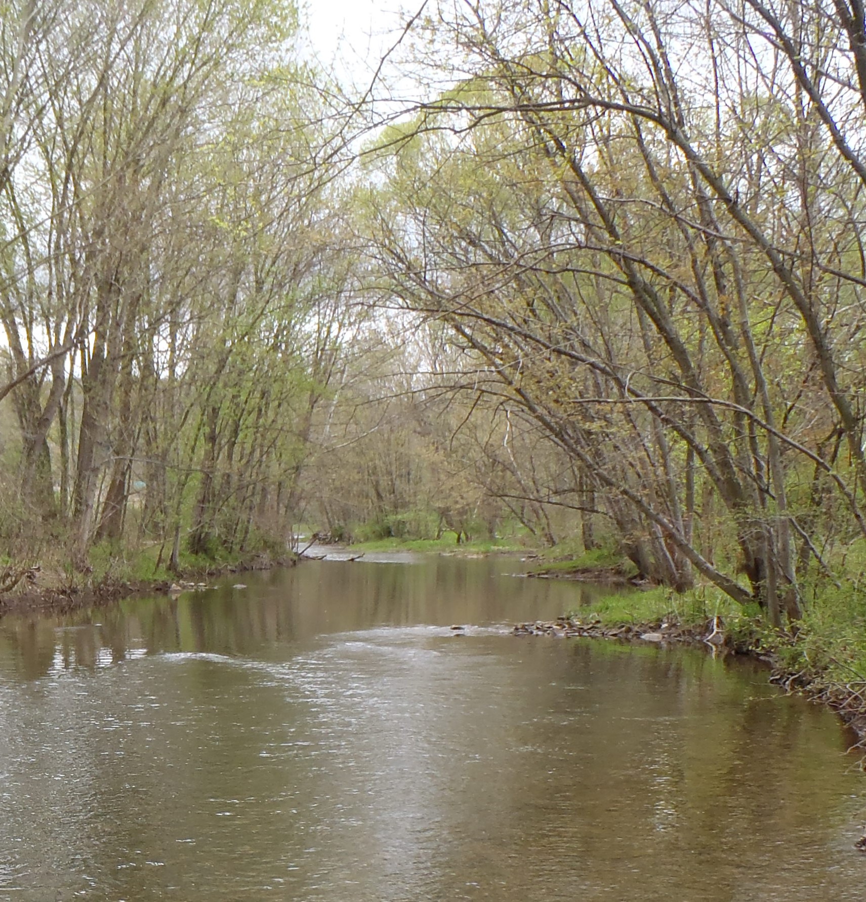 Loyalhanna Nature Trail
