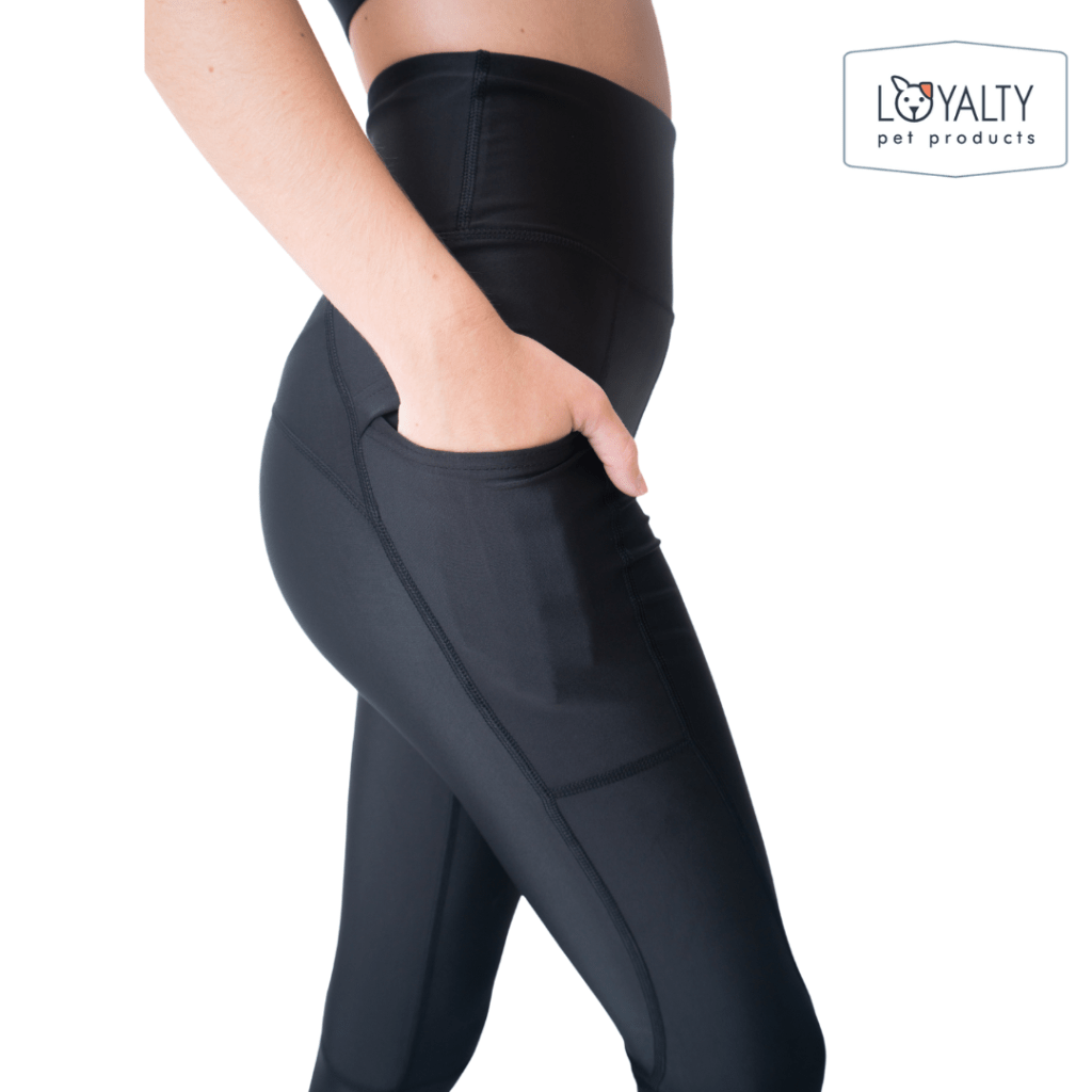 Dog Grooming Leggings Loyalty Pet Products