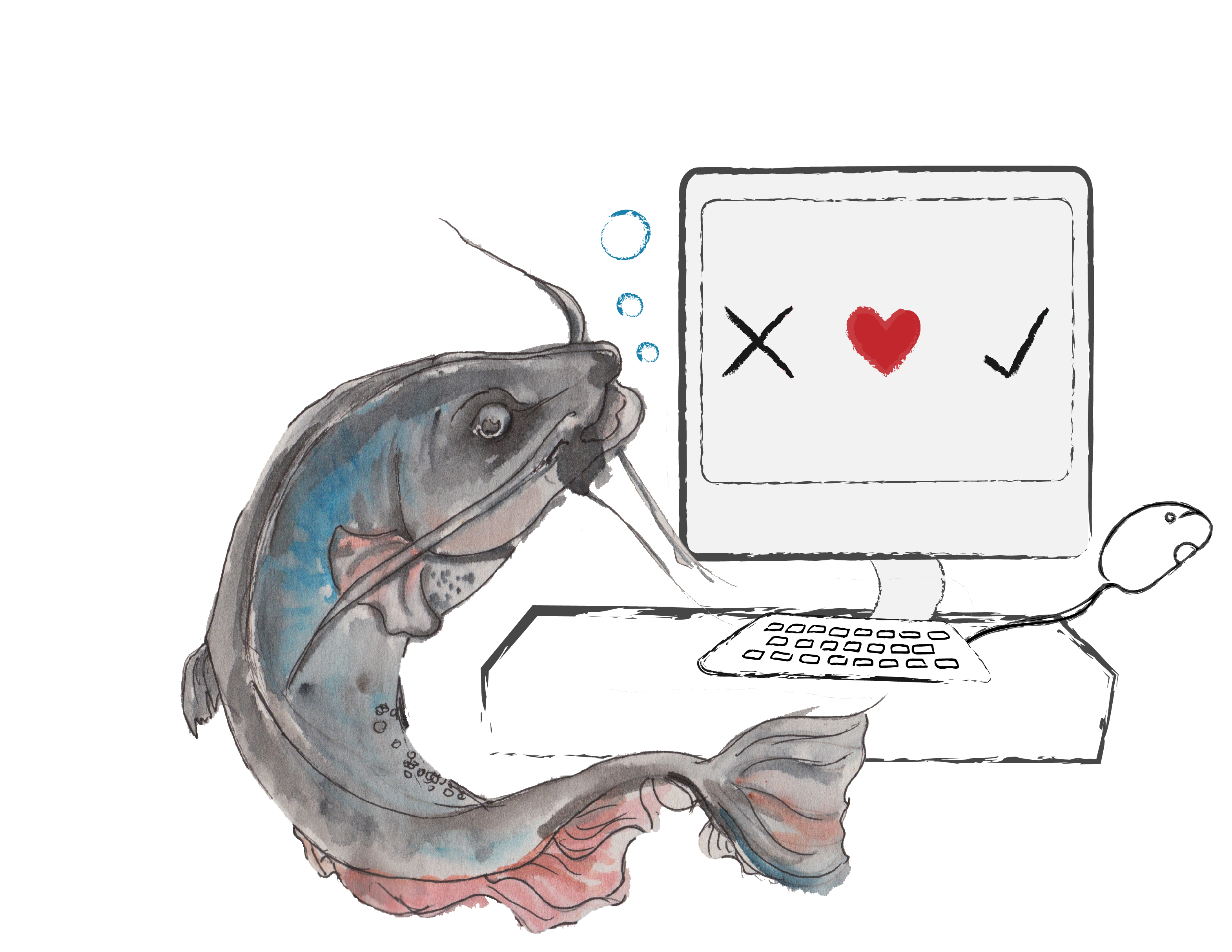 Catfishing for love The Maroon