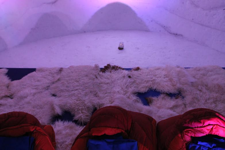 How to stay in an igloo (and live to tell about it) Lonely