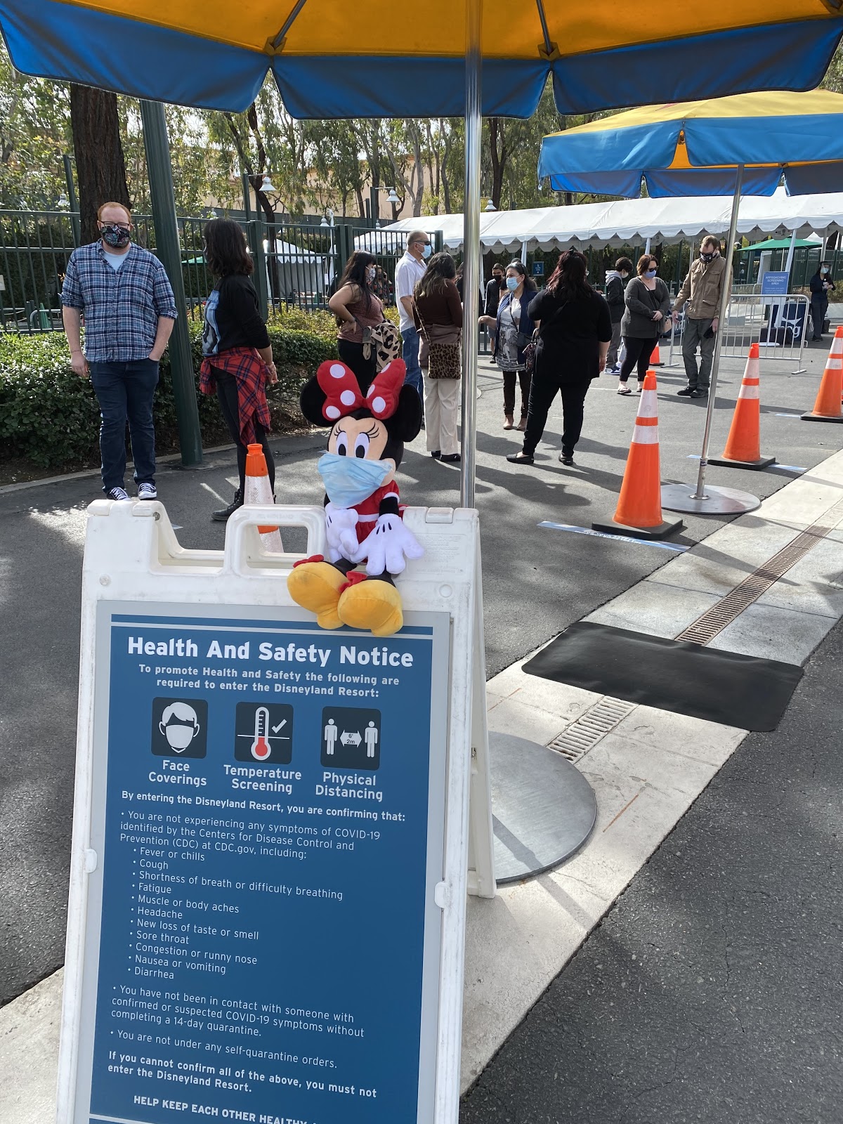 Masks, Mickey and magic My trip to Disneyland during the pandemic