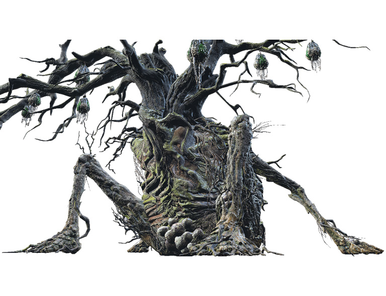 Curse Rotted Greatwood Guide Dark Souls 3 Walkthrough Curse Rotted Greatwood Boss Fight Part