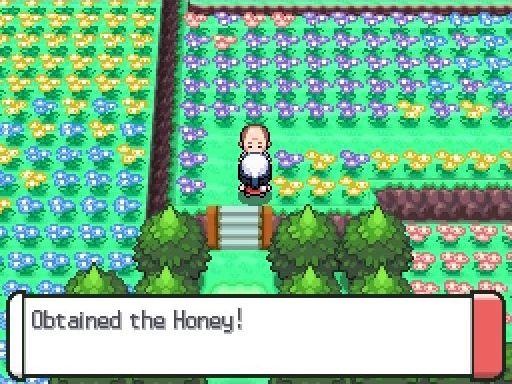 Time and Relative Dimensions in Sinnoh Let's Play Pokemon Platinum The Something Awful Forums