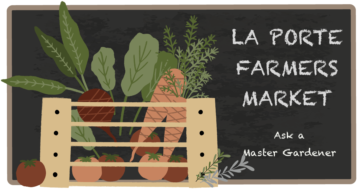 La Porte Farmers Market La Porte County Extension Master Gardeners