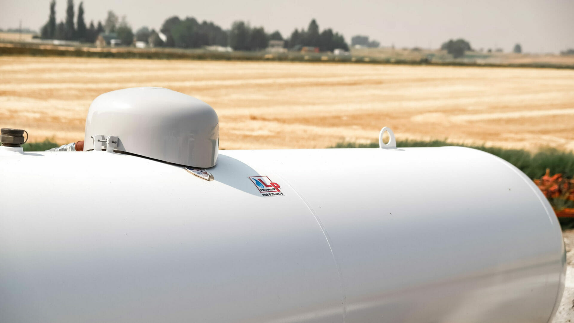 How Much Are Propane Tank Rentals at Hazel Gravitt blog