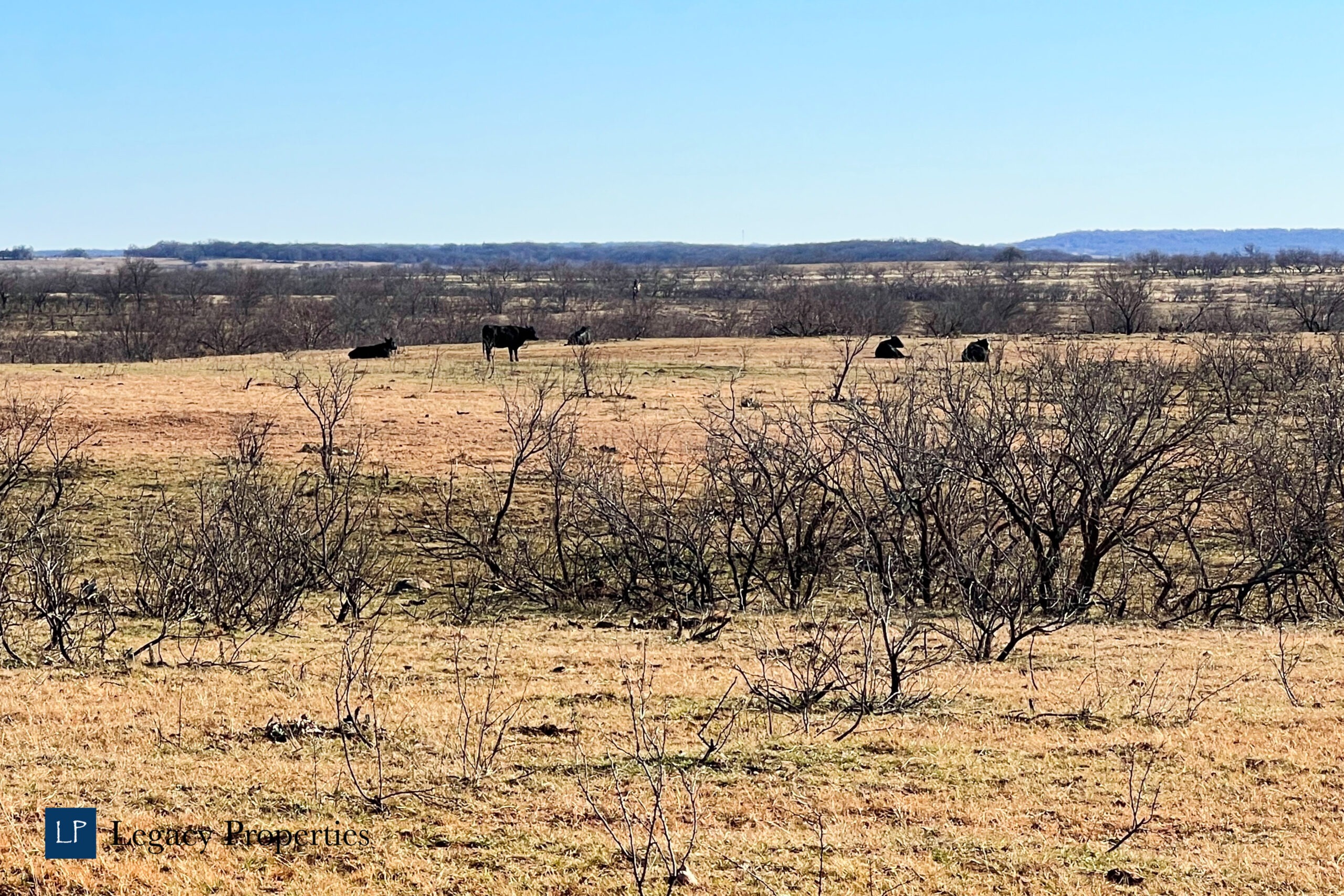 Nocona Land 11 Acres Legacy Properties Ranch and Farm Brokerage