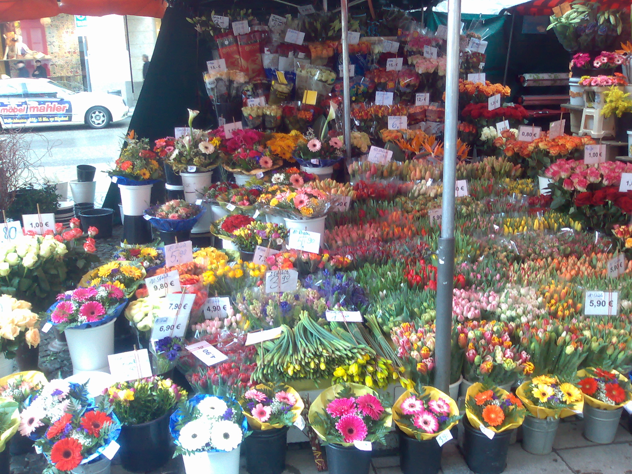 Flowers in Germany Moments in Life