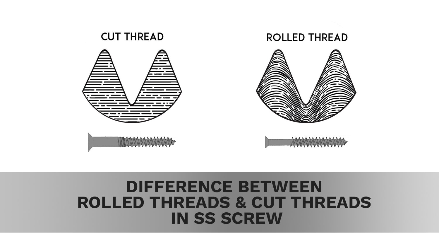 Difference Between Rolled Threads and Cut Threads in SS Screw