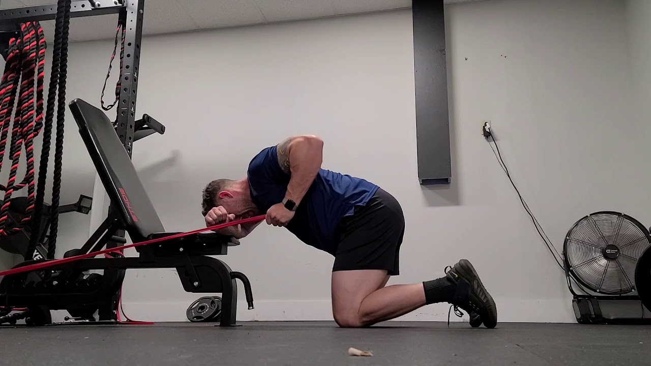 Arms Lee Physical Therapy & Wellnesss