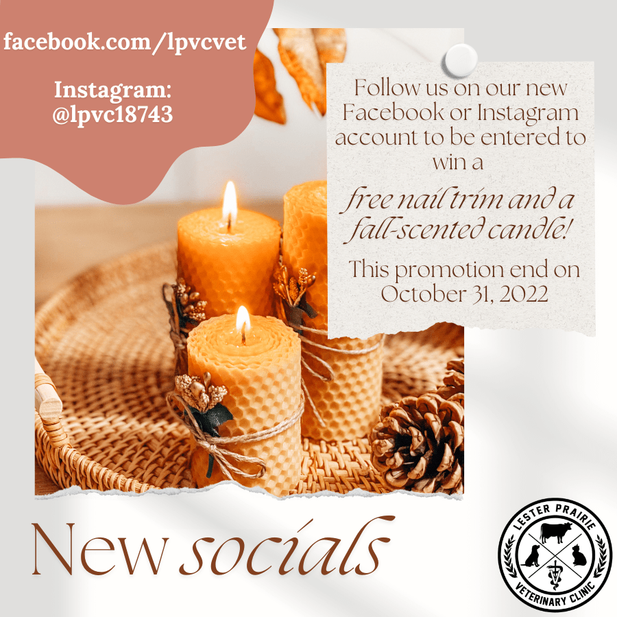 Veterinarian in Lester Prairie, MN 55354 Lester Prairie Veterinary Clinic