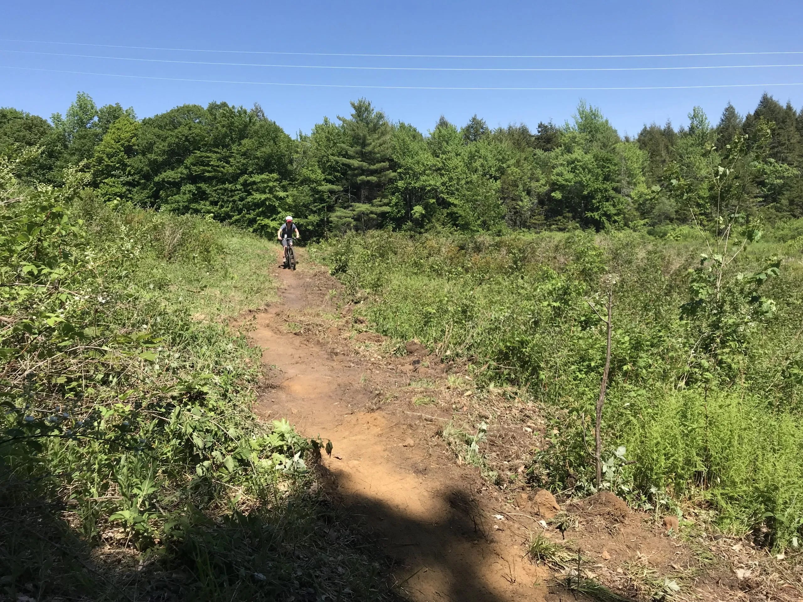 Page and Glory Hill Conservation Area Lakes Region Conservation Trust