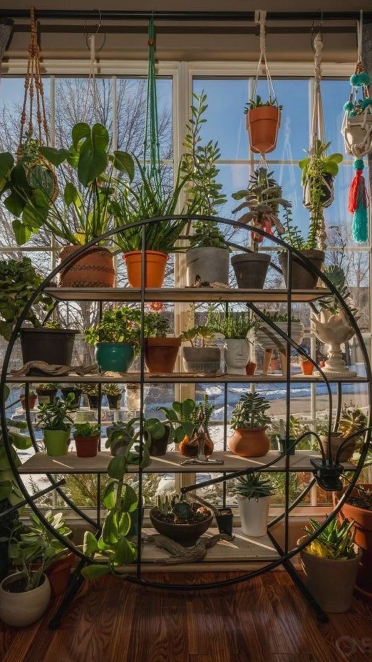 Do Plants Make You Happier? LR Post