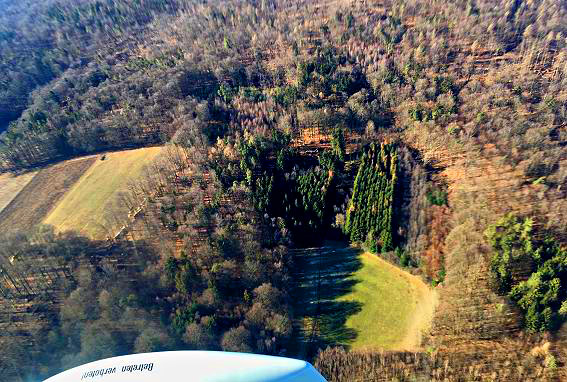 Ist unser bayerischer Wald zu retten? Deutscher