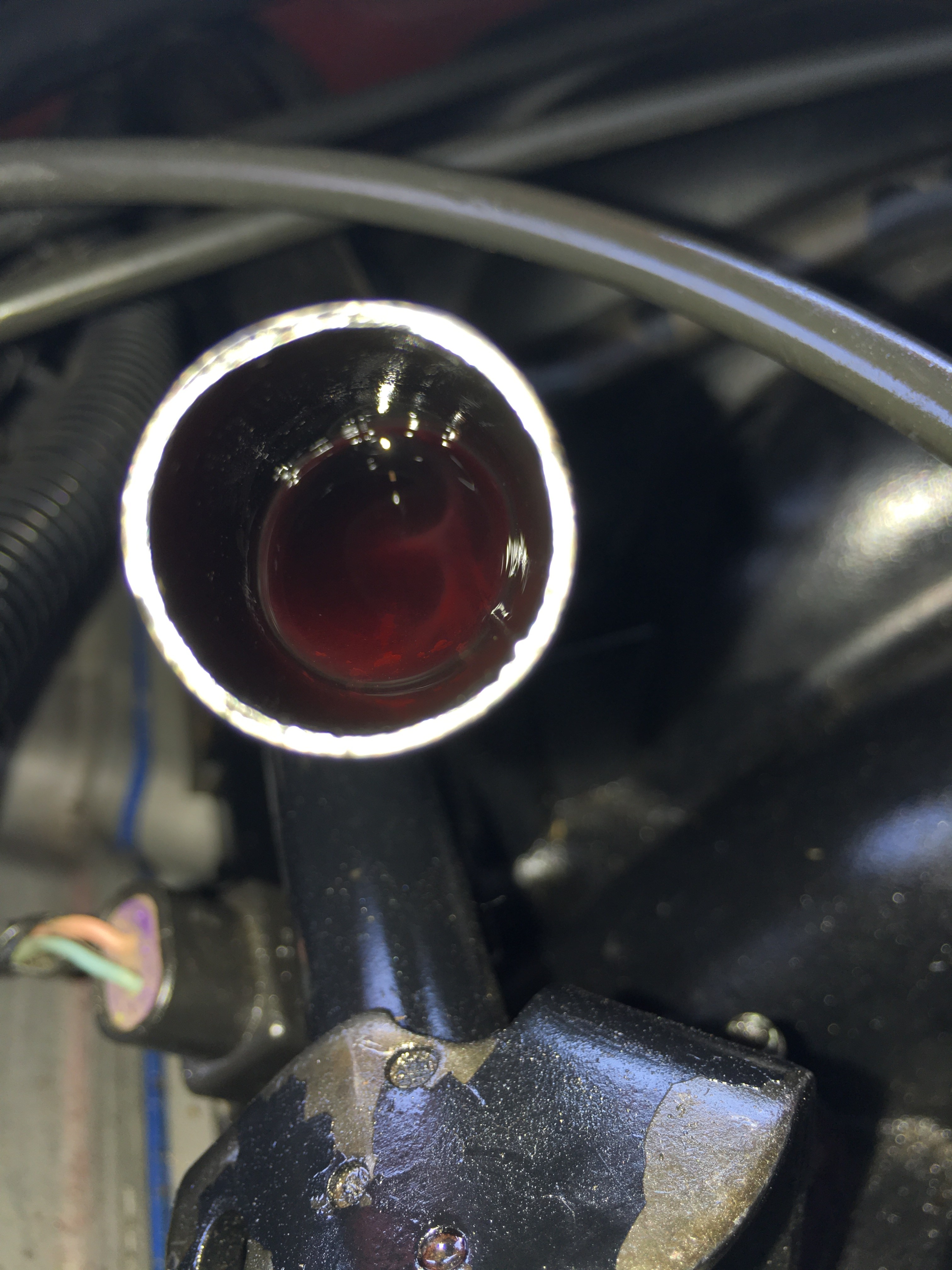 Fluid level cold? LS1TECH Camaro and Firebird Forum Discussion