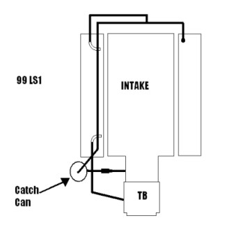 My catch can routing ok? - Page 9 - LS1TECH - Camaro and Firebird Forum