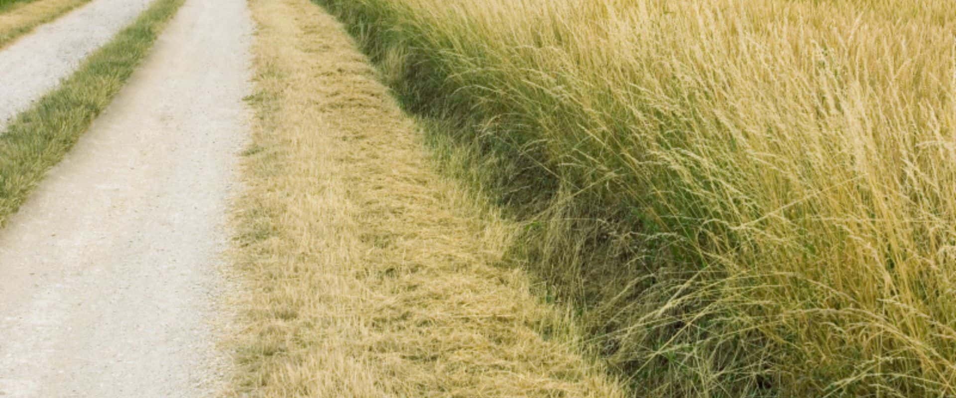 Road Closures Lac Ste. Anne County