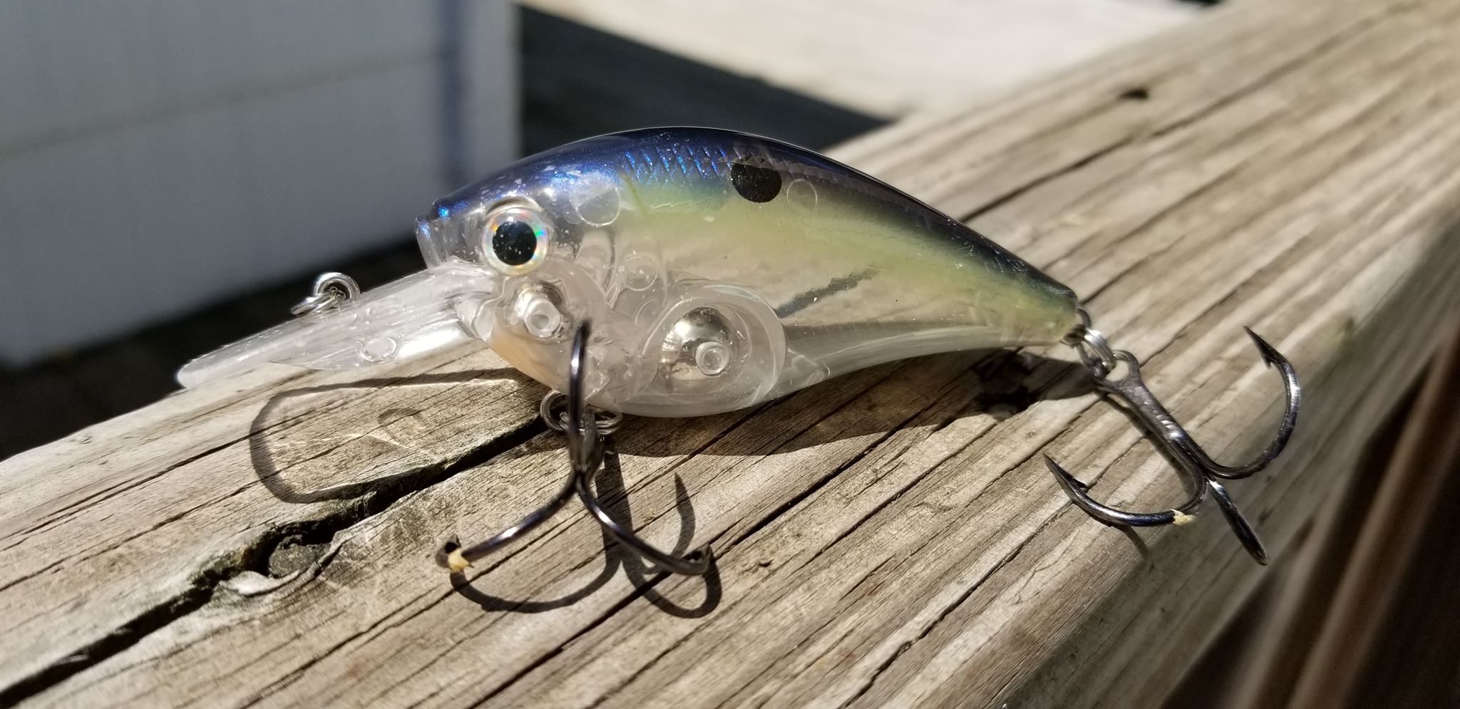 Longview Lake Fishing Report 71319 Lee's Summit Area Fishing