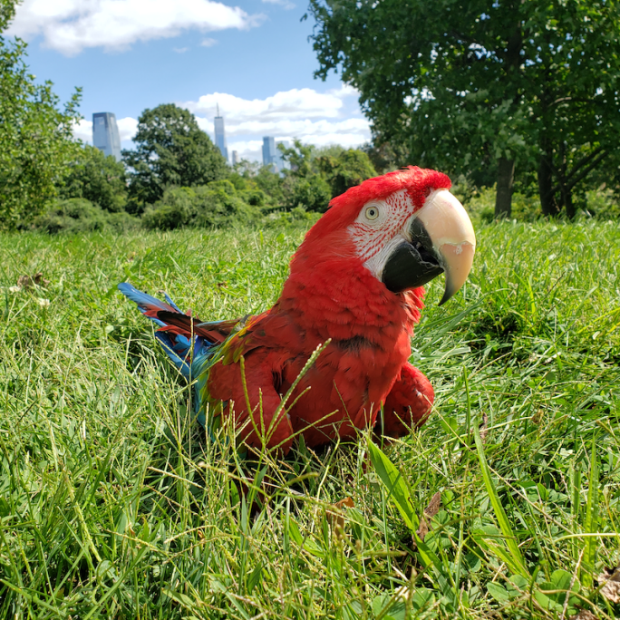 Liberty Science Center Careers at LSC