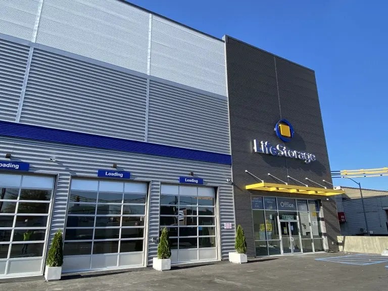 Flushing Self Storage LSC Development