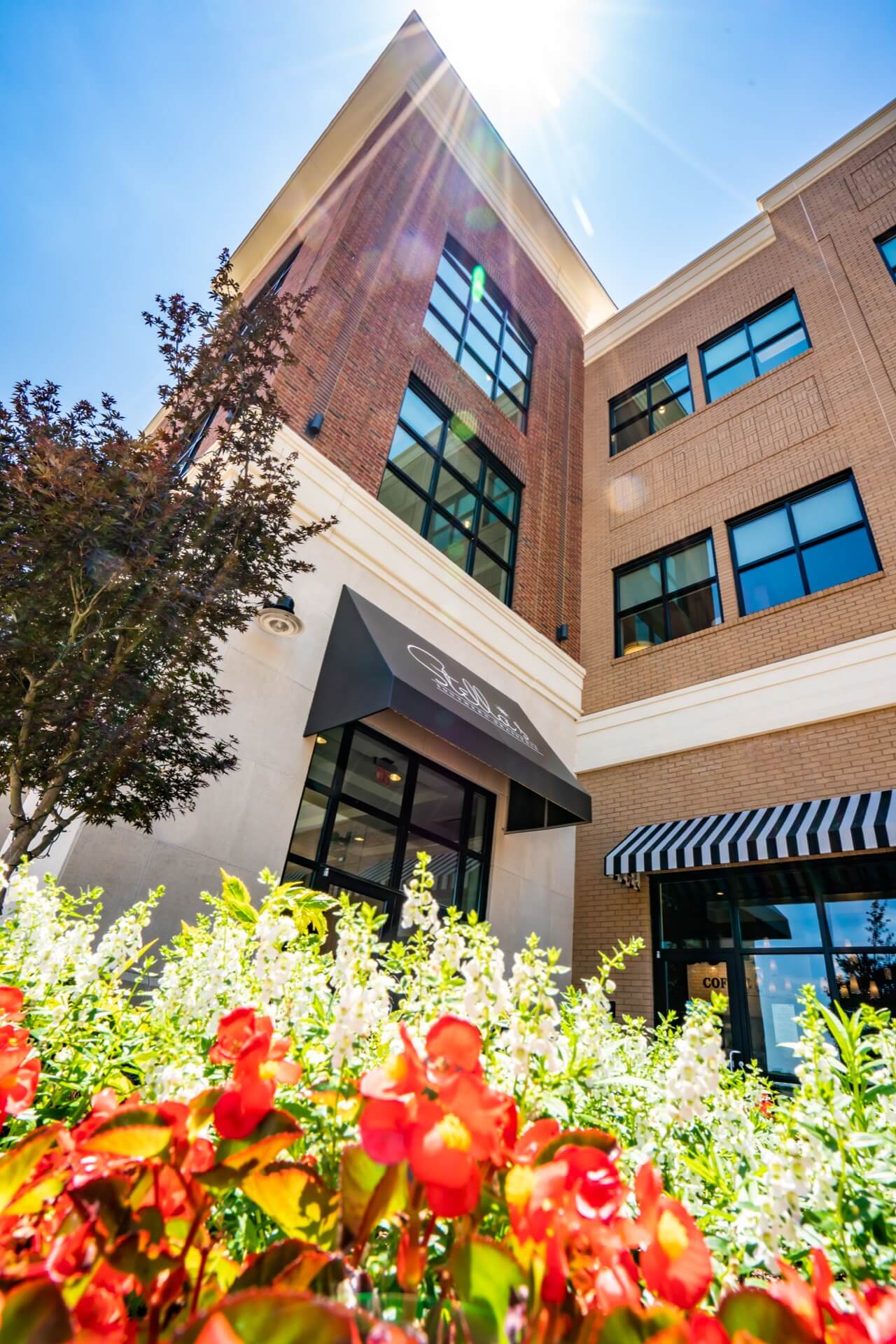 Chelsea Townes at Hollingsworth Park LS Homes