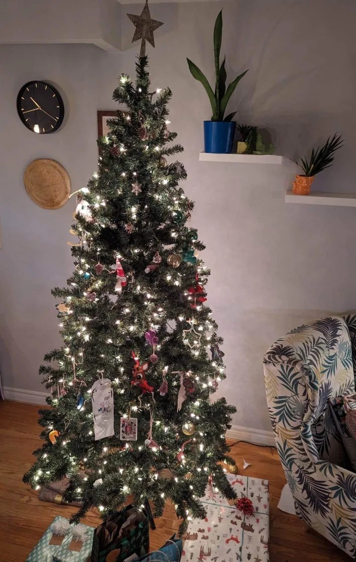 Opinion I’m a Muslim immigrant, and my Canadianborn children changed