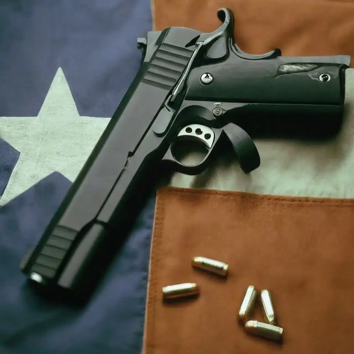 How to get a concealed carry permit in texas