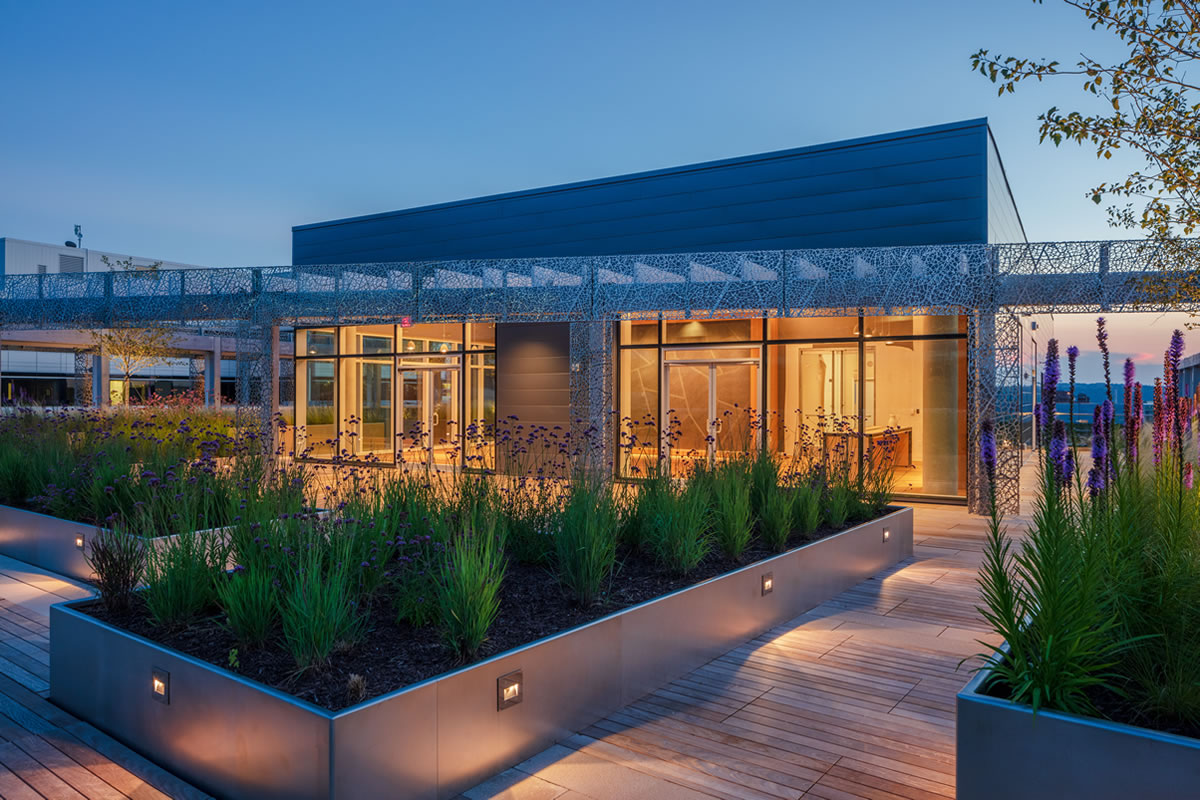 Steven Place LT Development Group