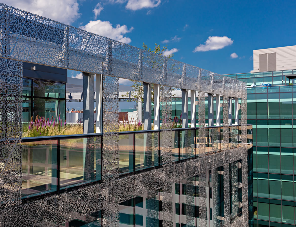 Steven Place LT Development Group